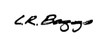LR Baggs